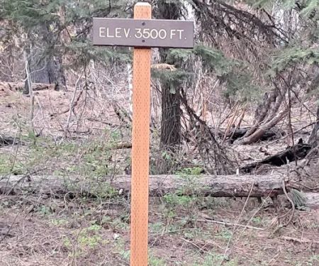 Wicky Shelter Campground