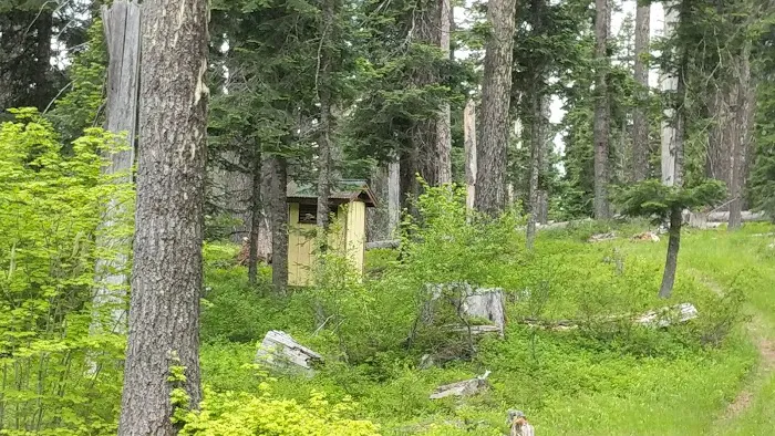 Wicky Shelter Campground Picture 8