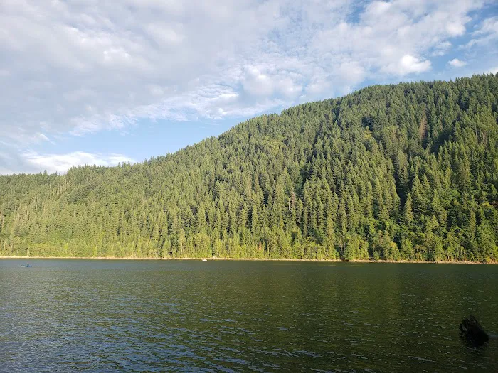 Cougar RV Park & Campground Picture 9