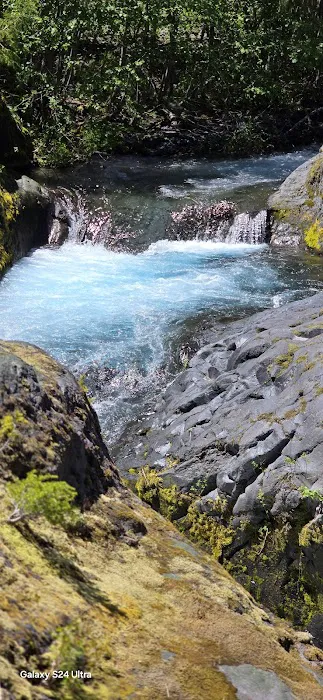 Cresap Bay Campground Picture 5