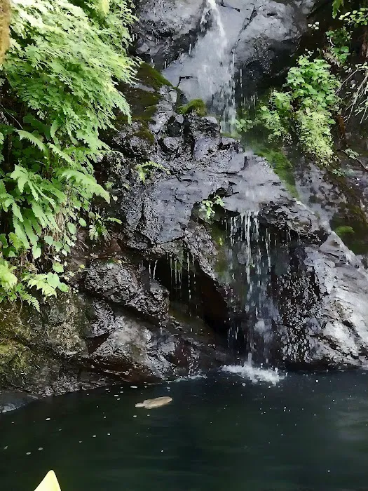 Cresap Bay Campground Picture 9
