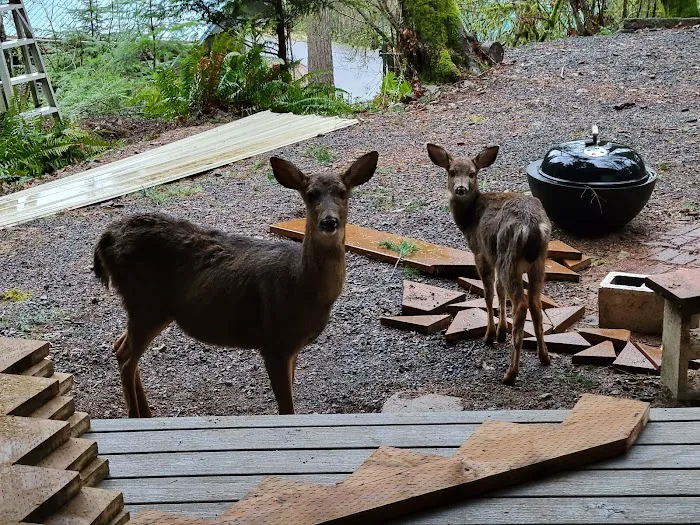 Lake Merwin Camper's Hideaway Picture 7
