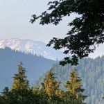 Lake Merwin Camper's Hideaway