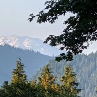 Lake Merwin Camper's Hideaway ico
