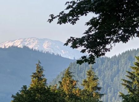 Lake Merwin Camper's Hideaway