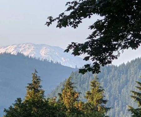 Lake Merwin Camper's Hideaway
