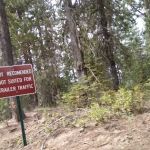 Keenes Horse Camp