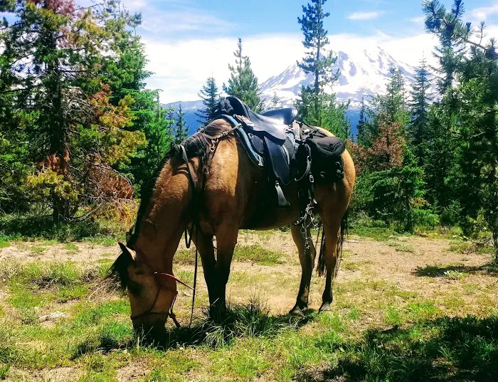 Keenes Horse Camp Picture 6