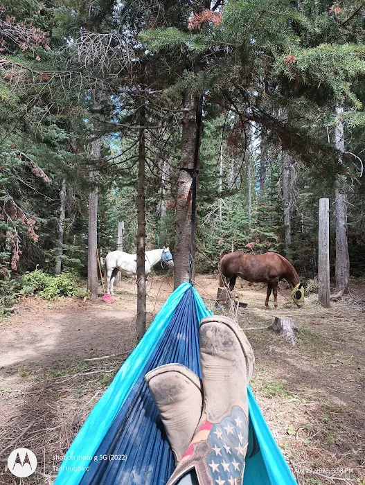Keenes Horse Camp Picture 8