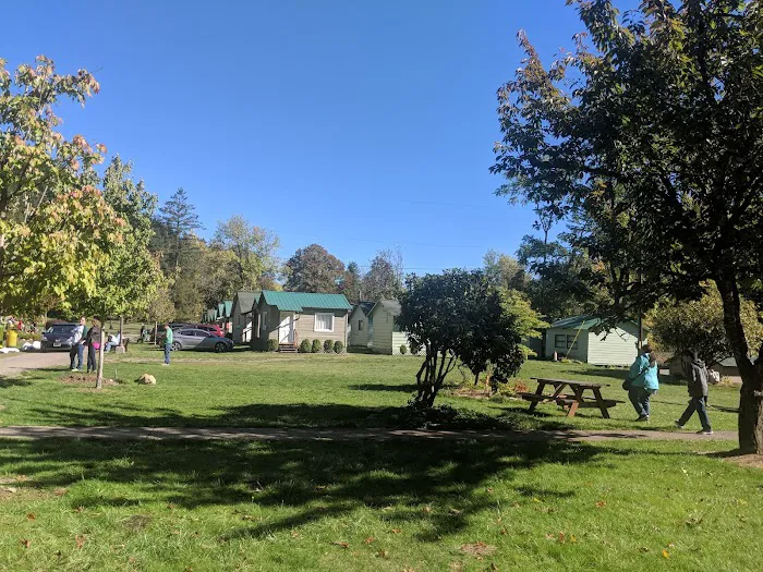 Lewis River Campground Picture 9