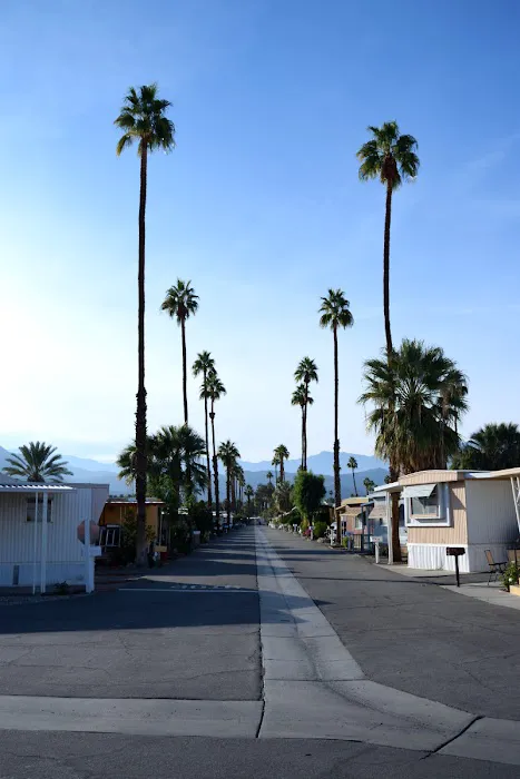 Palm Desert Mobile Estates LLC Picture 6