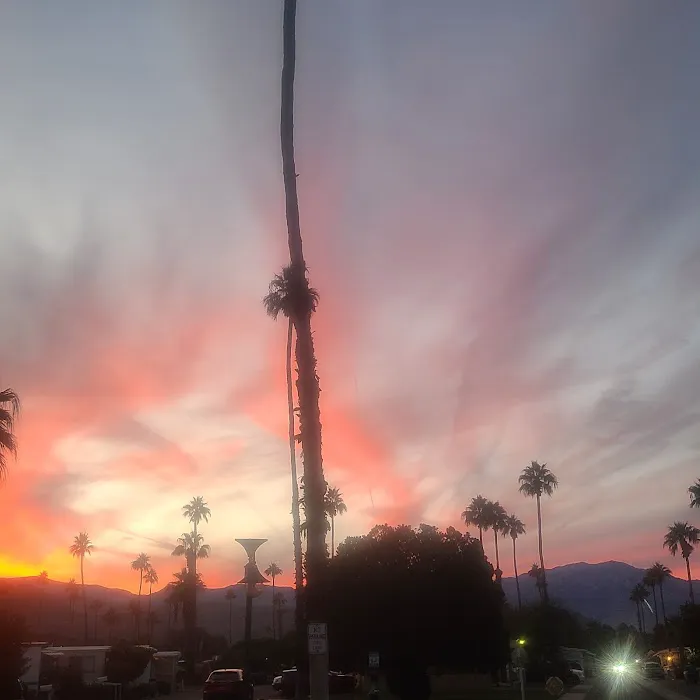 Palm Desert Mobile Estates LLC Picture 7
