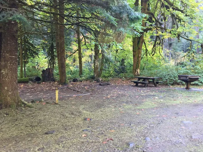 Government Mineral Springs Campground Picture 2