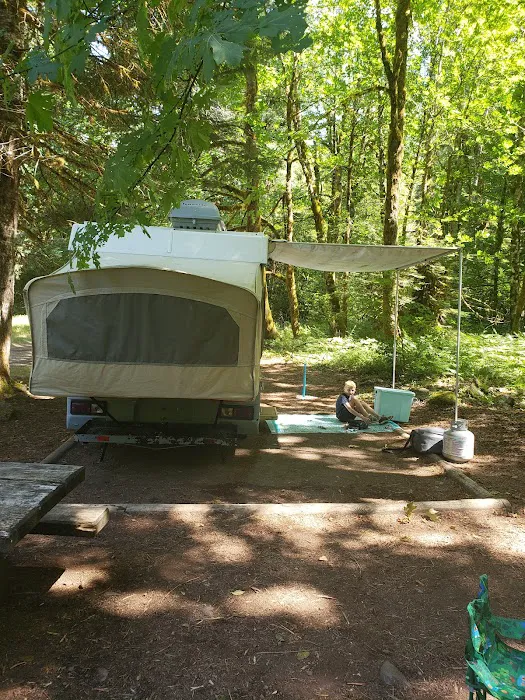 Government Mineral Springs Campground Picture 6