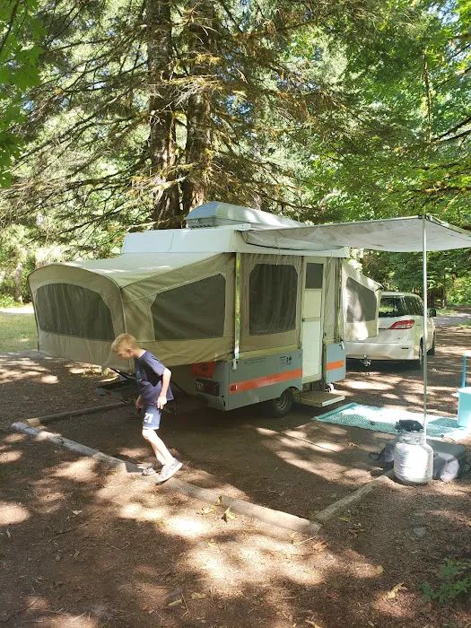 Government Mineral Springs Campground Picture 8