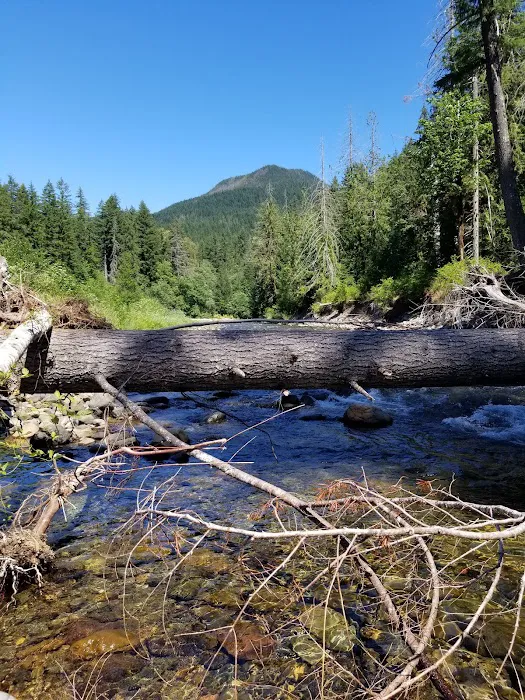 Government Mineral Springs Campground Picture 9