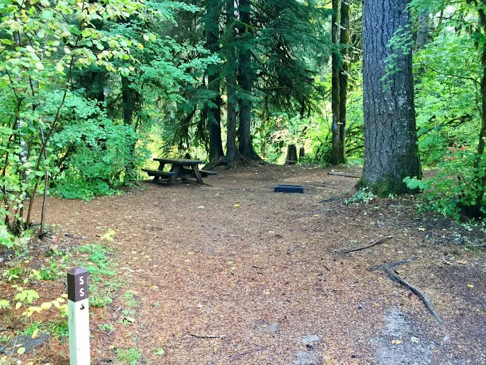 Government Mineral Springs Campground Picture 7