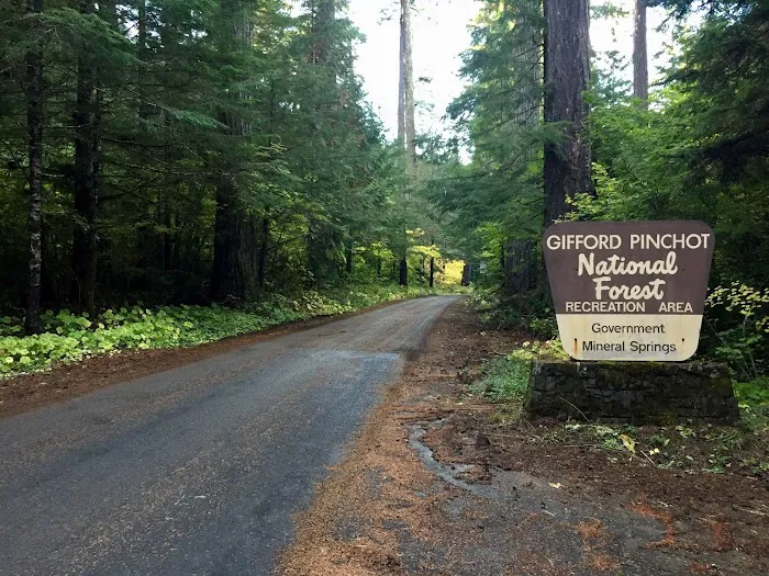 Government Mineral Springs Campground Picture 3