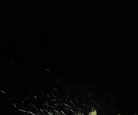 Fourth of July Campground