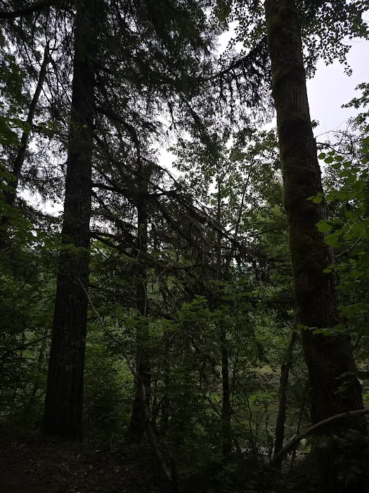 Beaver Campground Picture 6