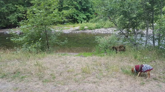 Beaver Campground Picture 1