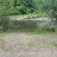 Beaver Campground ico