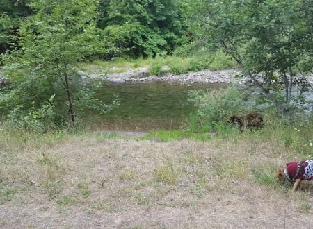 Beaver Campground