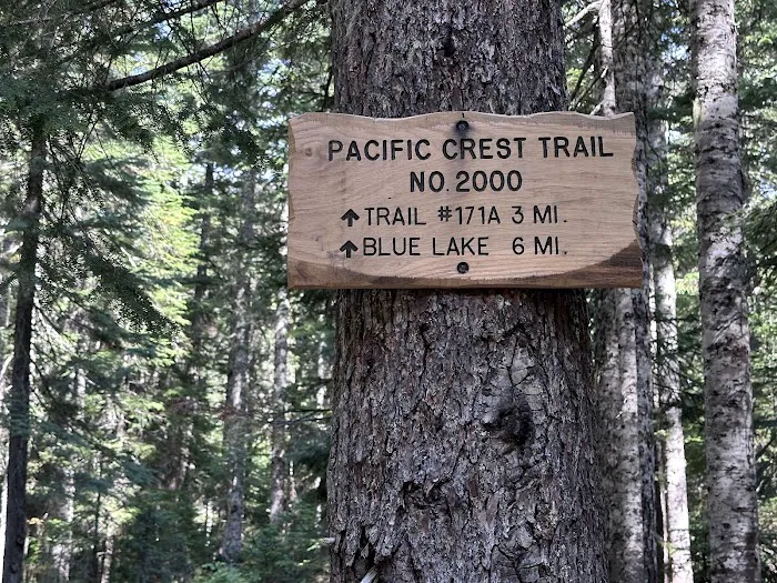 Campground: Crest Camp/Trailhead Picture 4