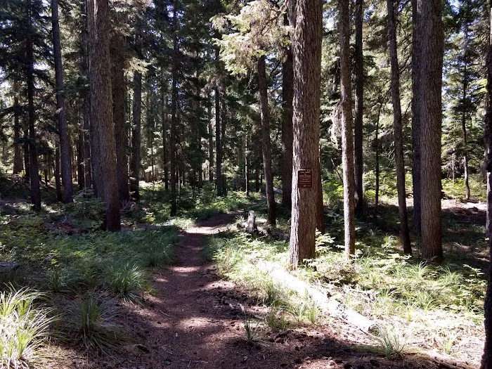 Campground: Crest Camp/Trailhead Picture 3