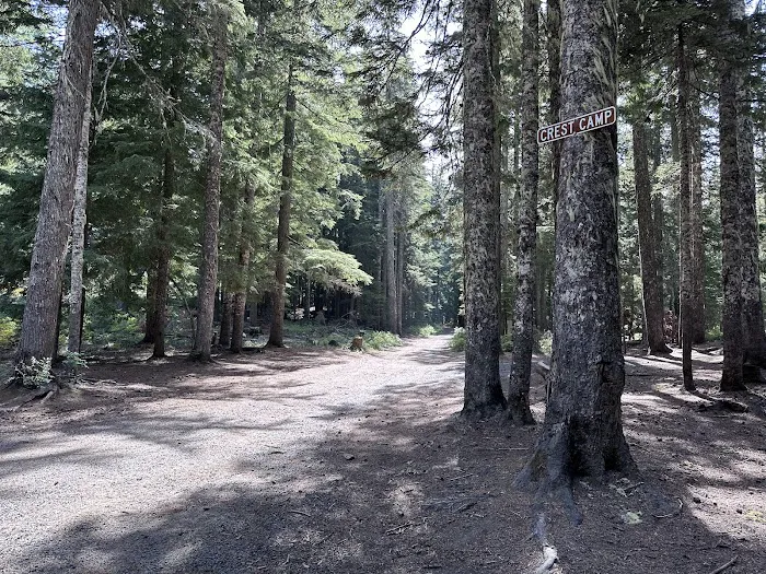 Campground: Crest Camp/Trailhead Picture 8