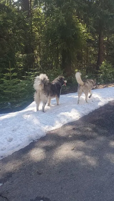 Goose Egg Sno Park Picture 7