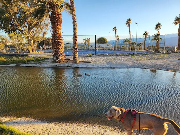 Catalina Spa RV Resort Picture 7