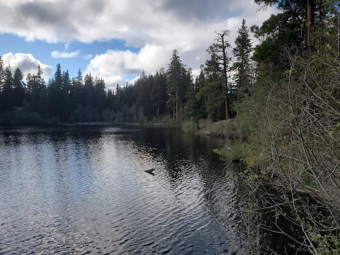 Lost Lake Camping Area Picture 6