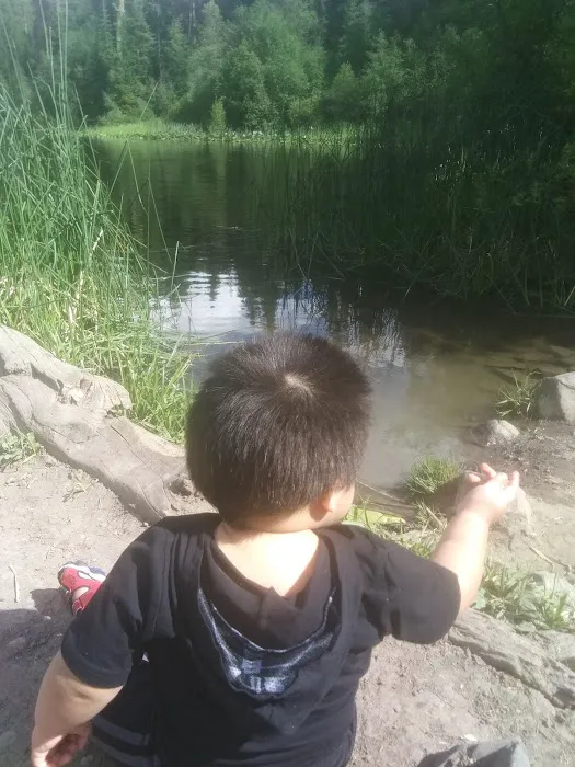 Lost Lake Camping Area Picture 5