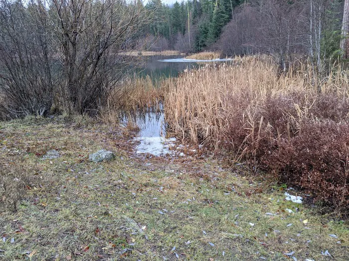 Lost Lake Camping Area Picture 10