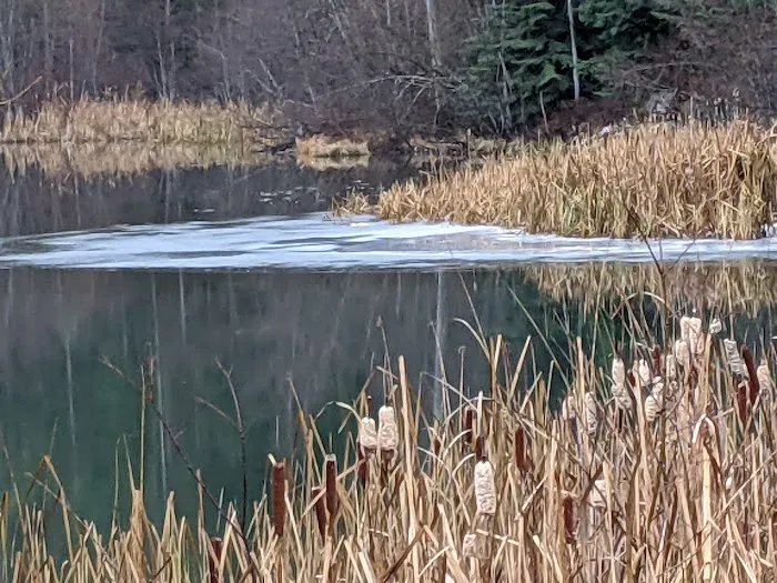Lost Lake Camping Area Picture 9