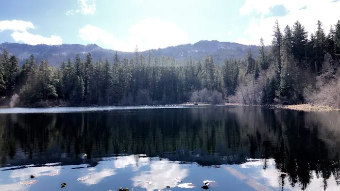 Lost Lake Camping Area Picture 4