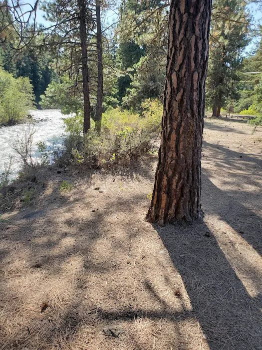 Hause Creek Campground Picture 9