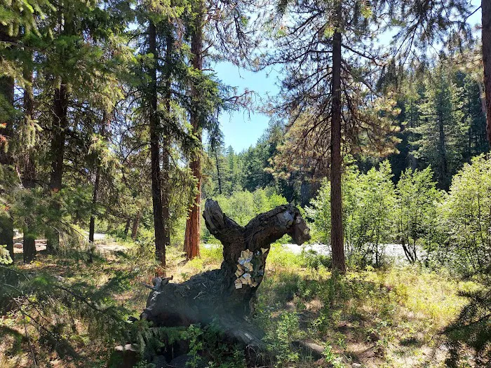Hause Creek Campground Picture 10