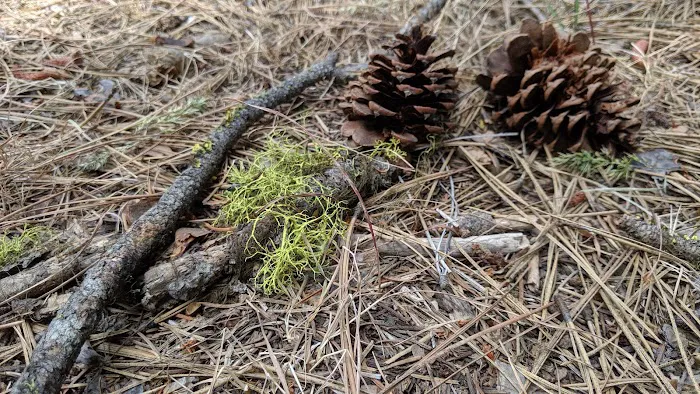Hause Creek Campground Picture 5