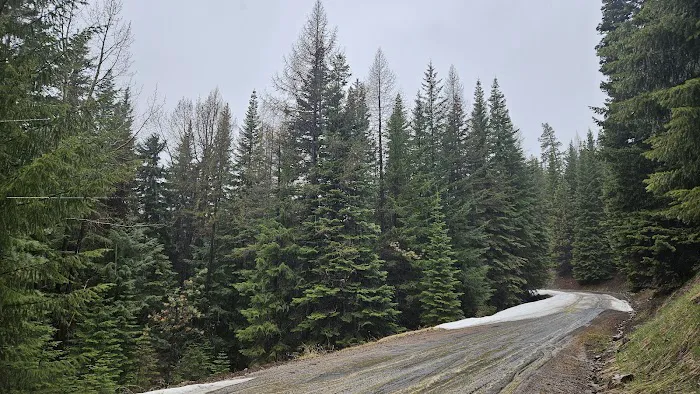 Ahtanum Meadow Campground Picture 4