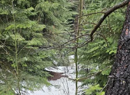 Ahtanum Meadow Campground
