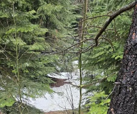 Ahtanum Meadow Campground
