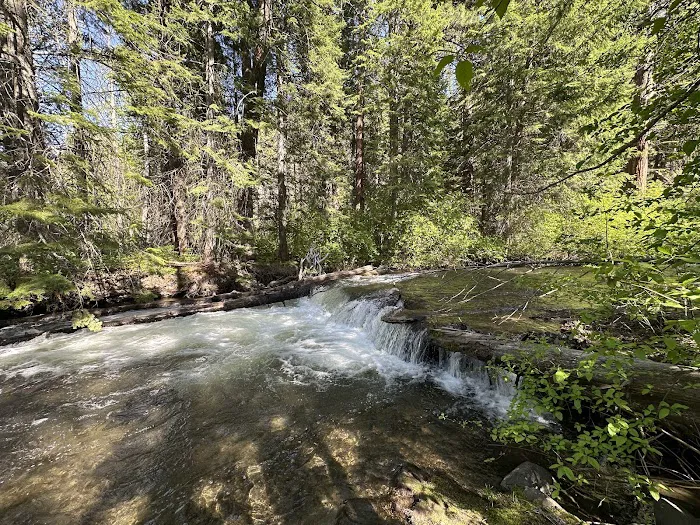 Ahtanum Meadow Campground Picture 9