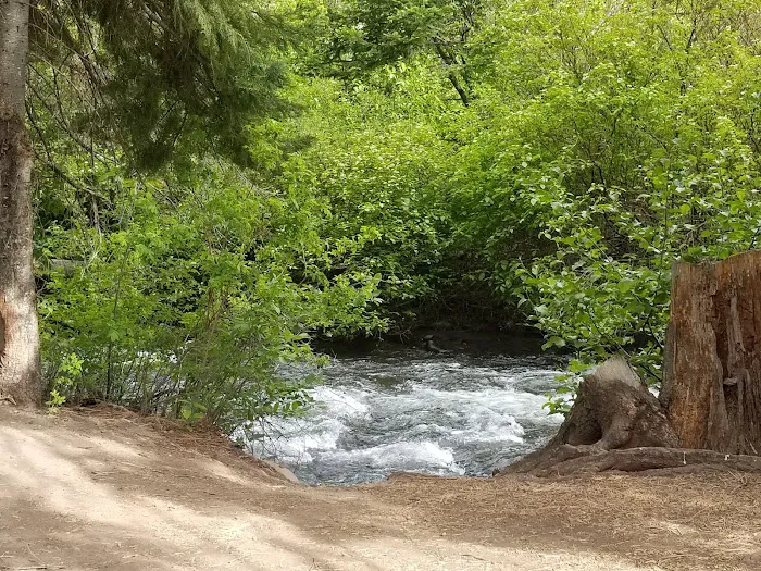 Ahtanum Meadow Campground Picture 10