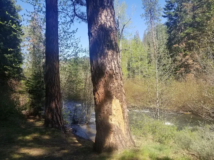 Ahtanum Meadow Campground Picture 7