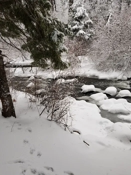 Ahtanum Meadow Campground Picture 6