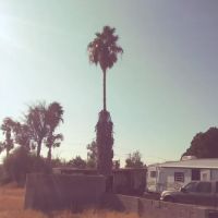 Litchfield Village Manufactured Housing Community ico