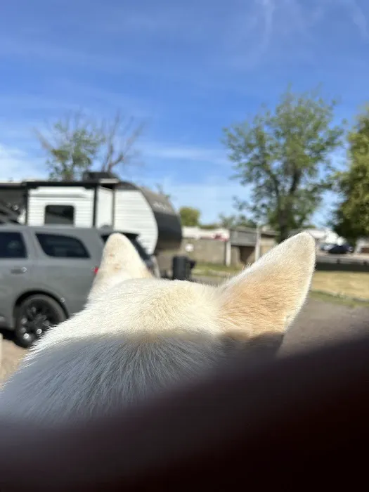 Country Hills Mobile Home Park Picture 5
