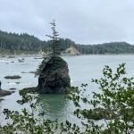Strawberry Point